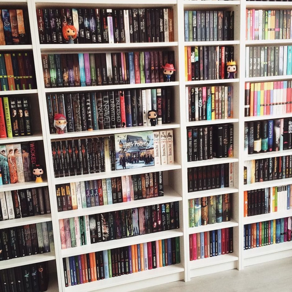 Книжные полки Эстетика