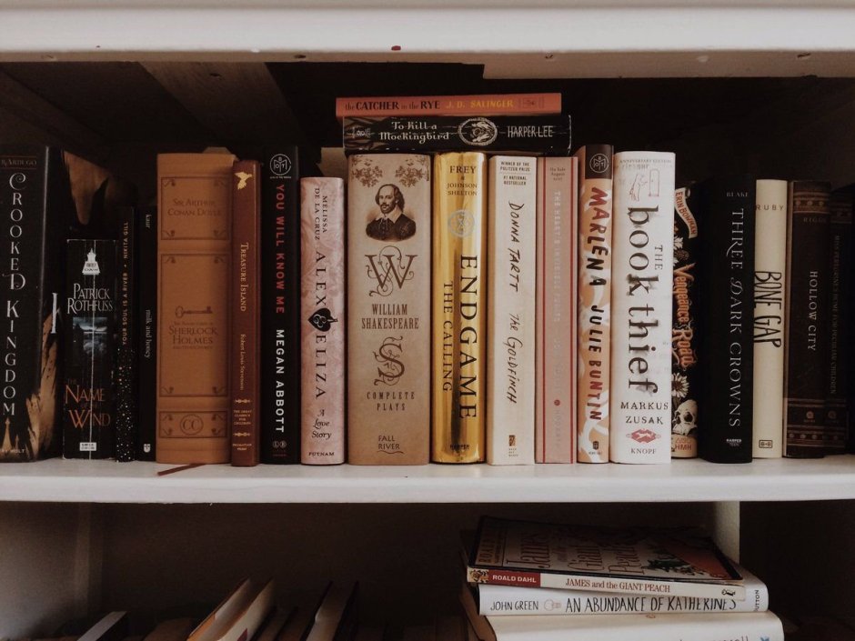 Красивые полки для книг