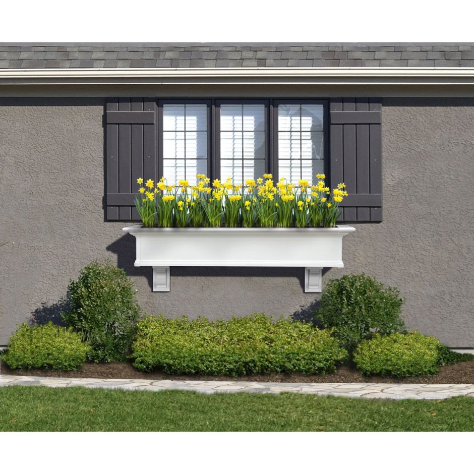 Window-Box 6 px