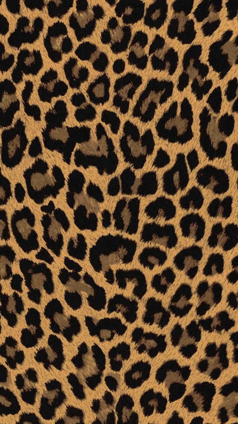 0154944 Leopard