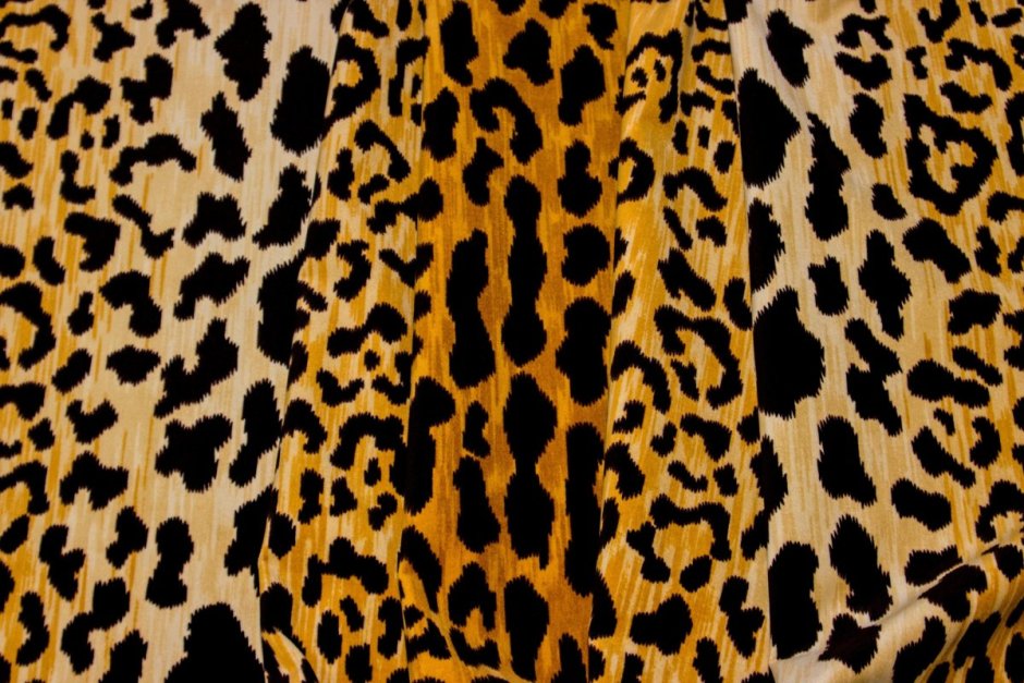 Леопардовый окрас