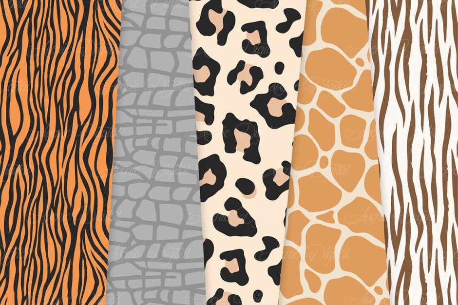 Дизайнерские обои с леопардами