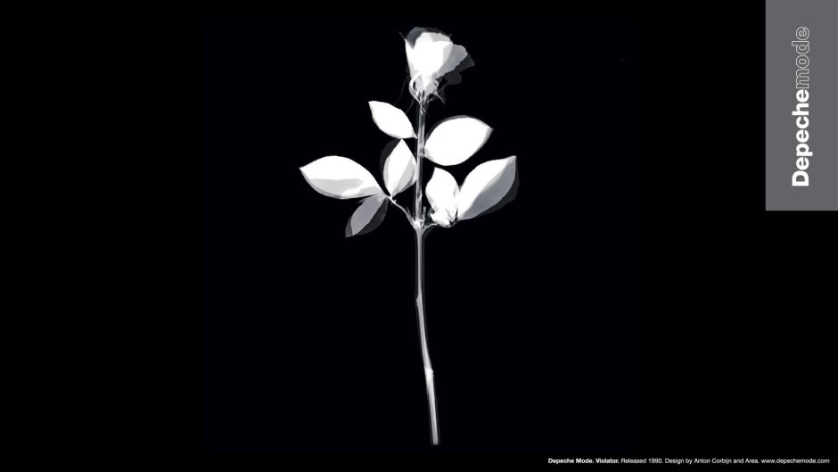 Depeche Mode Violator роза