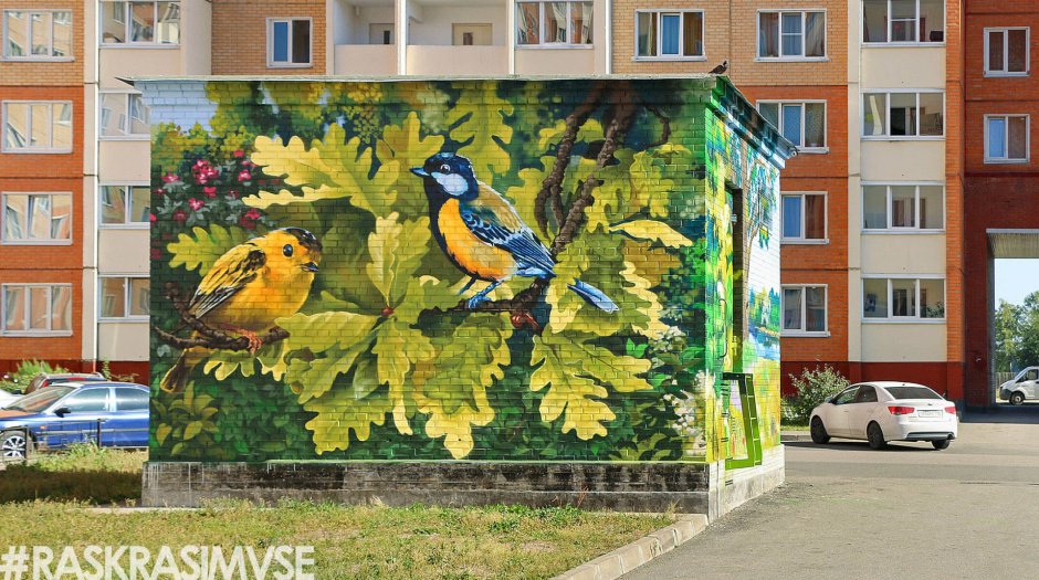 Разрисованный дом в Воронеже