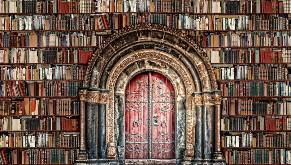 Обои книжные полки