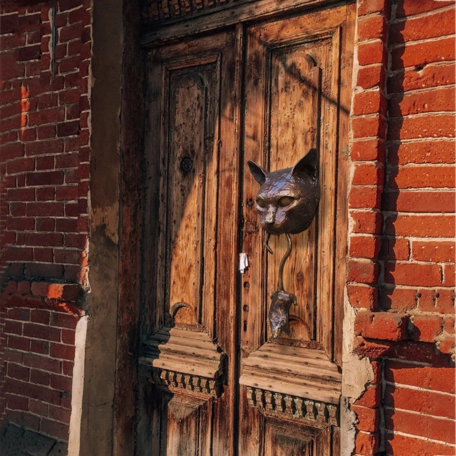 Дверь для кошки