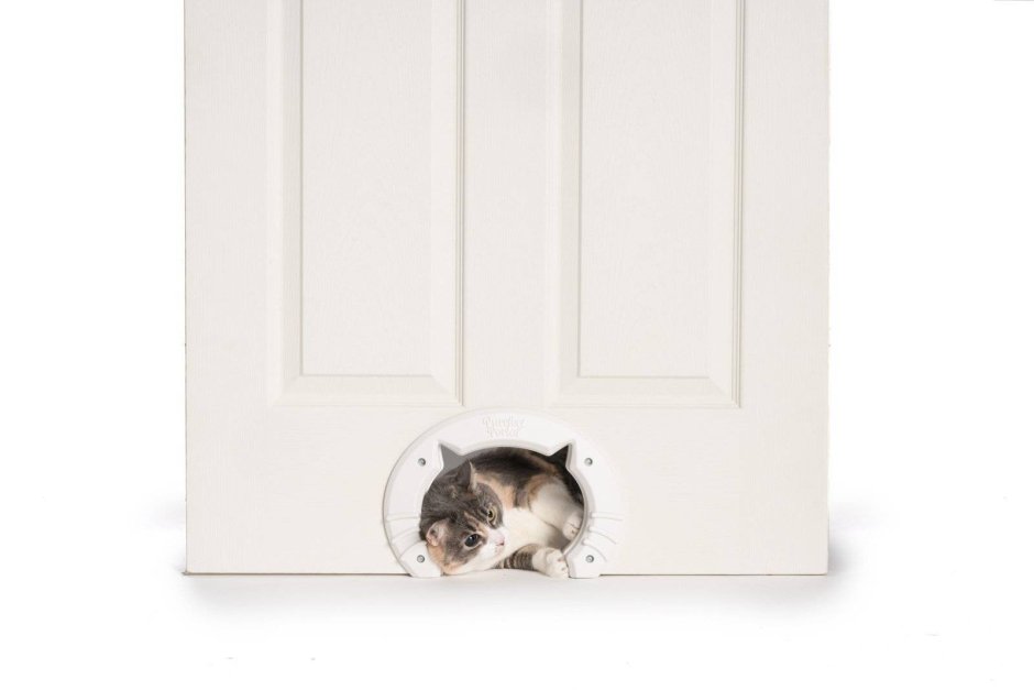 ЛАЗ для кошки в двери