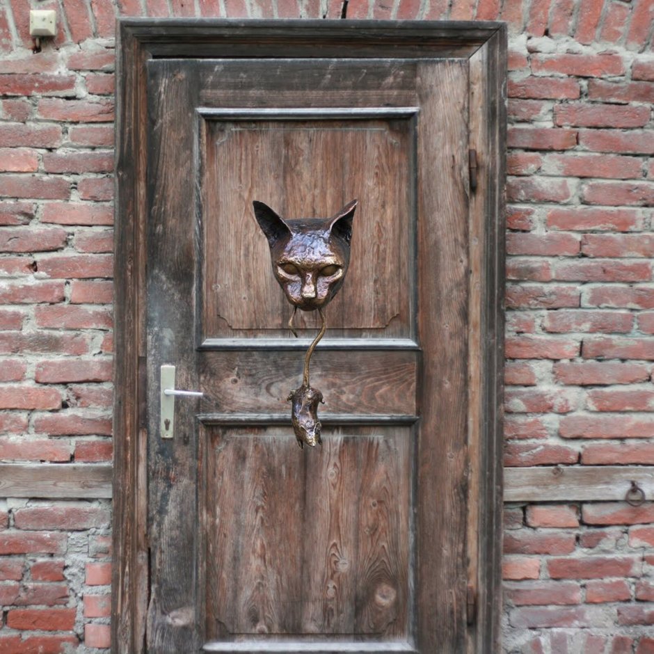 Дверца для кота в двери