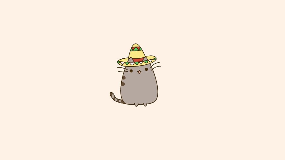 Котик Минимализм
