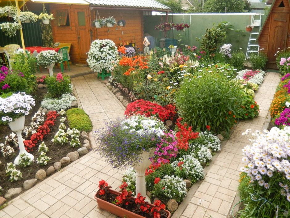 Цветник на дачном участке 6 соток