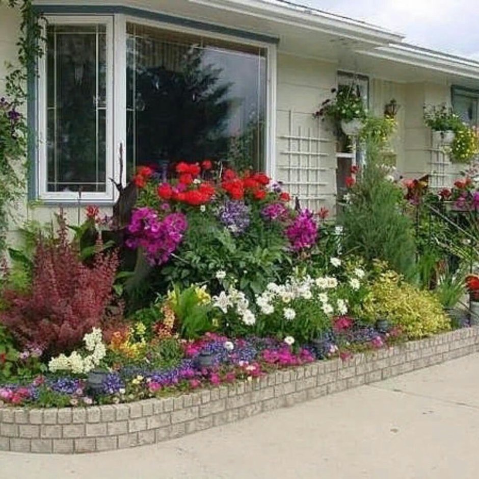 Цветник в палисаднике перед домом из многолетников