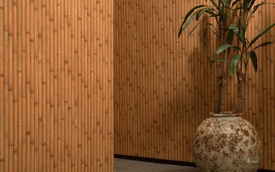 Бамбук на стене
