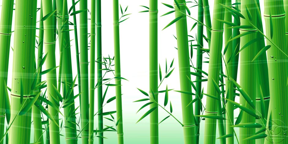Бамбуковые панели