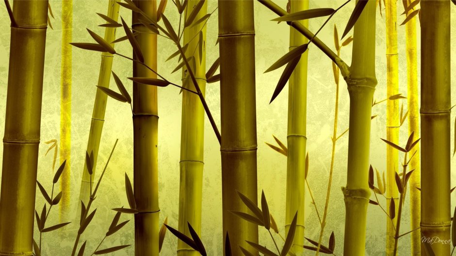 Бамбуковые панели в интерьере