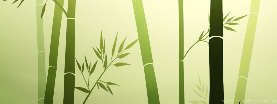 Стена из зеленого бамбука