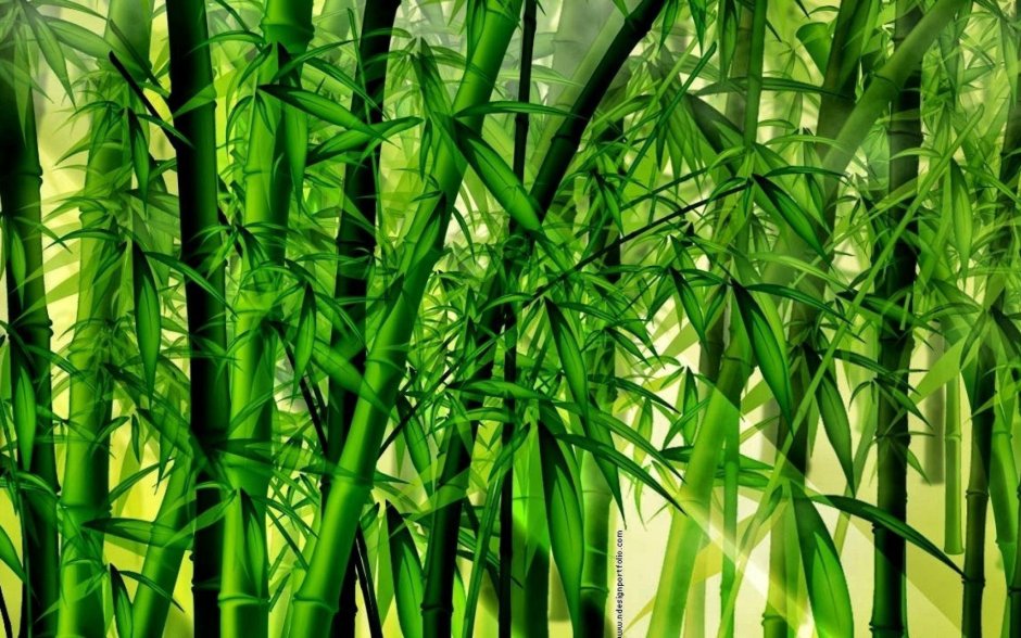 Отделка стен бамбуковым полотном