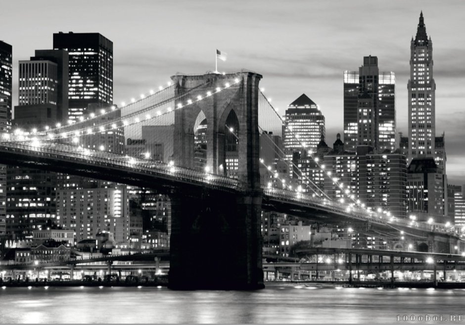 Буринский мост Нью-Йорк