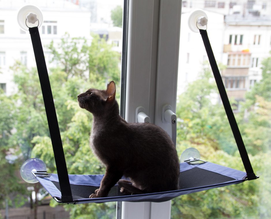 Гамак для кота на окно