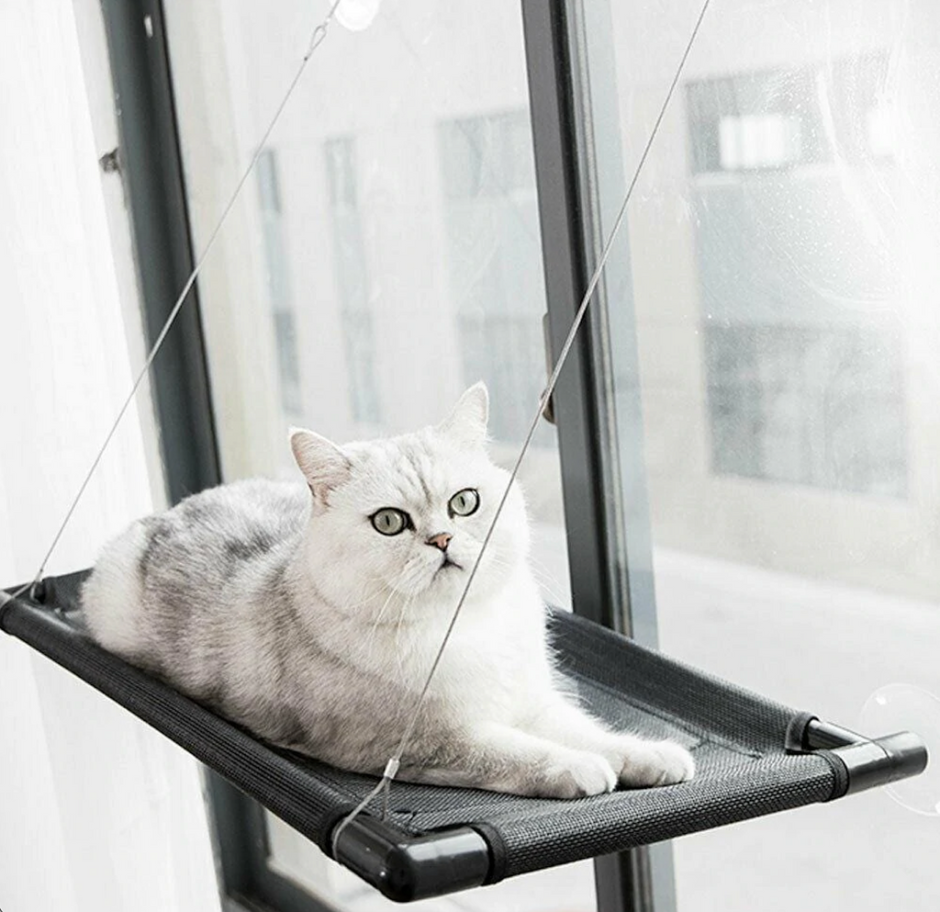 Лежанка для кошки на окно на присосках