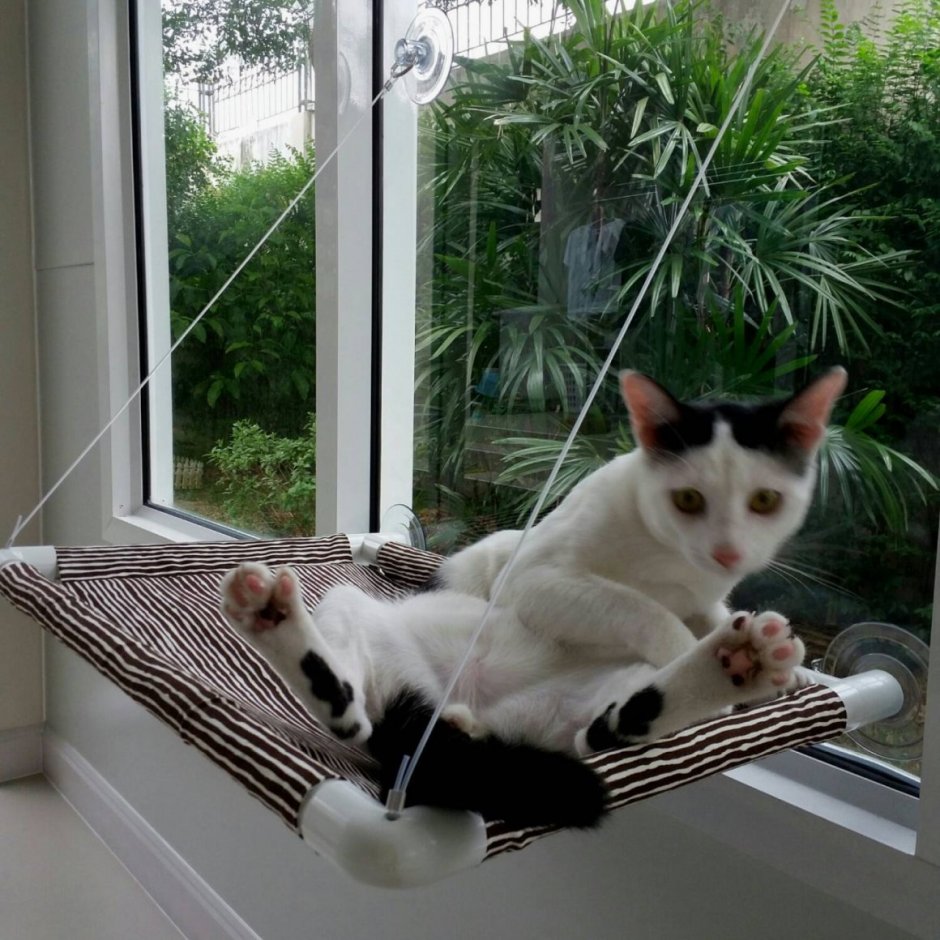 Лежак для кошки на окно на присосках