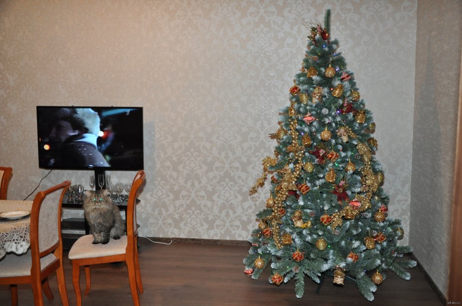 Елка в квартире