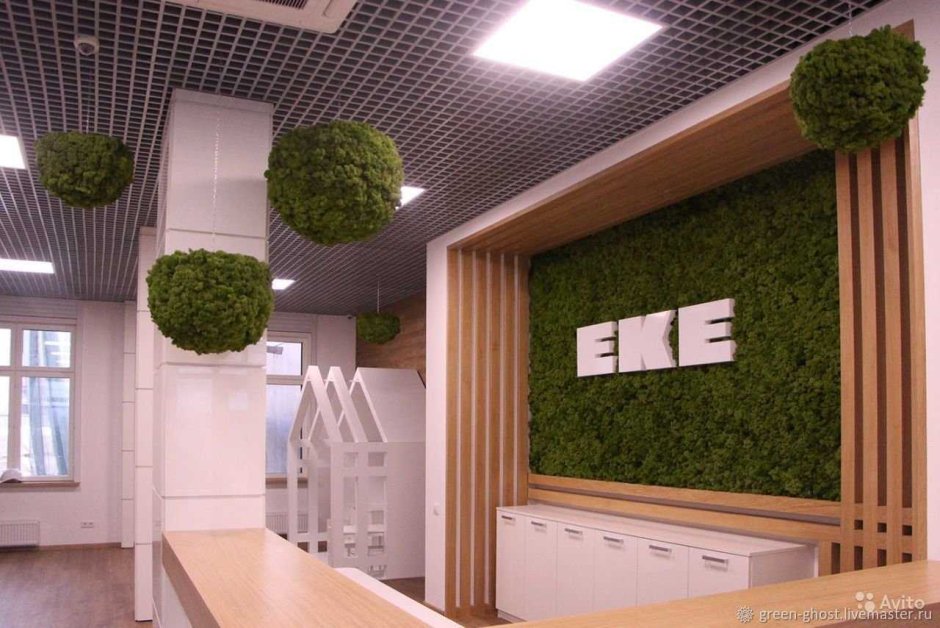 Декоративный мох