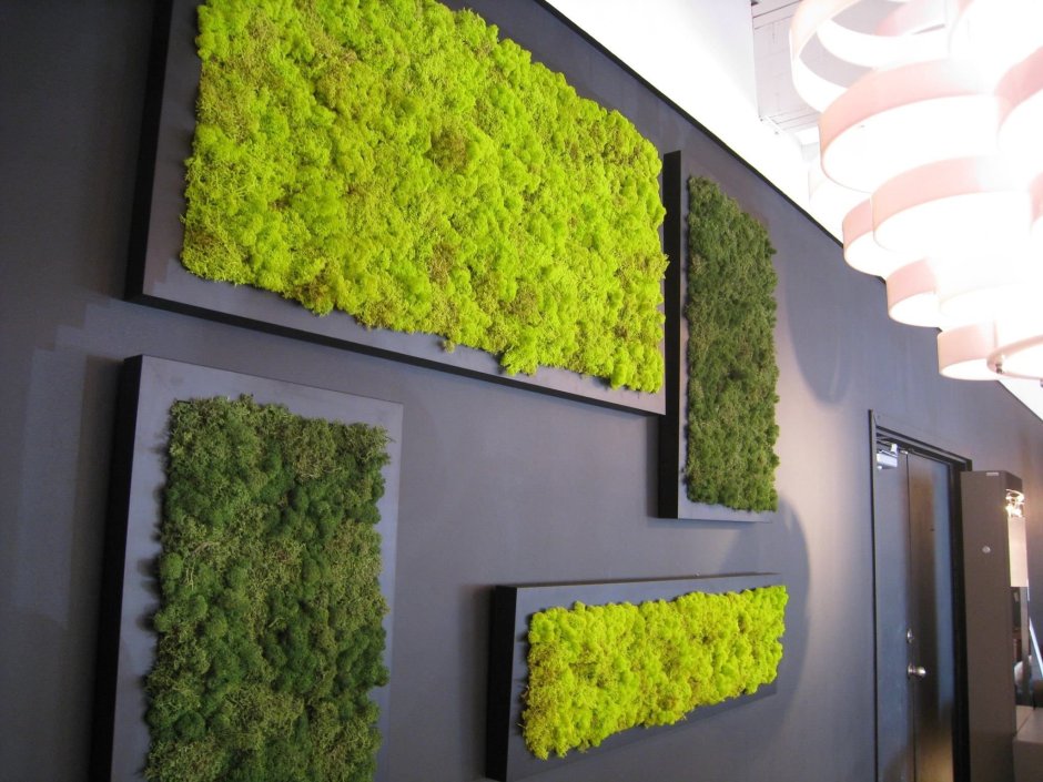 Искусственный газон на стене