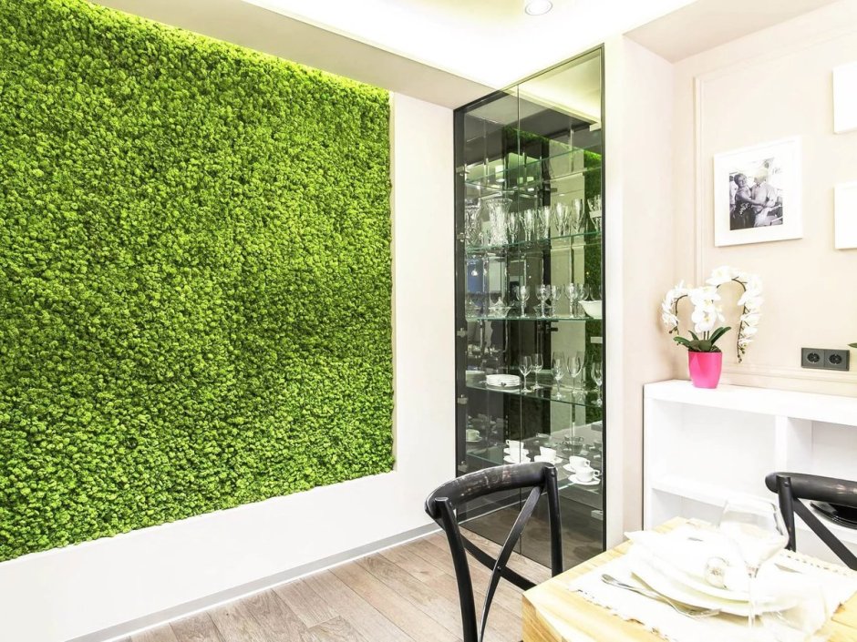 Стабилизированный мох в интерьере