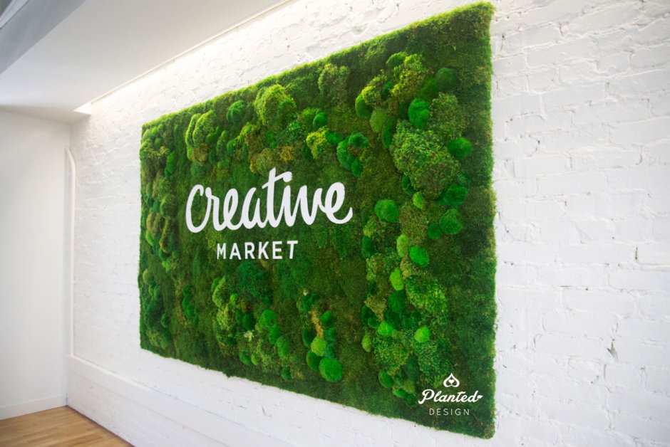 Фитостена Эмеральд Грин