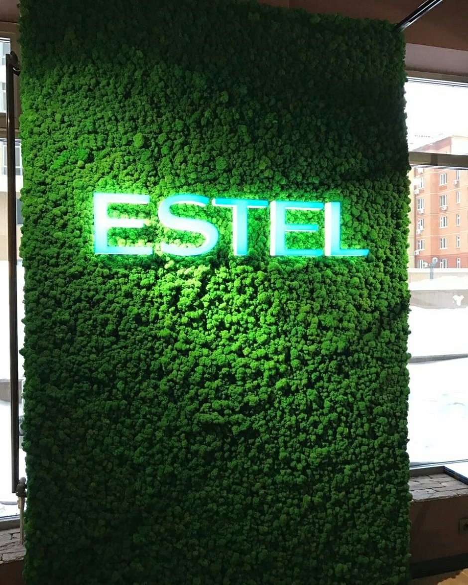 Фитостена самшит