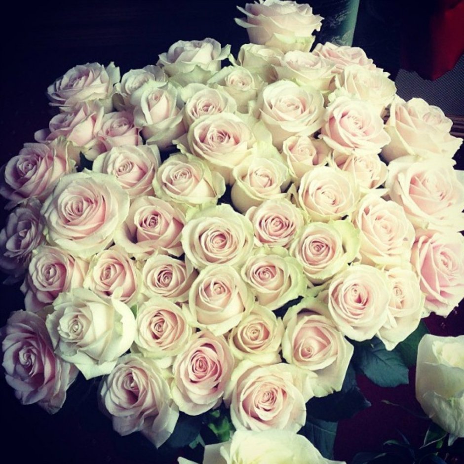 Розовые розы букет селфи