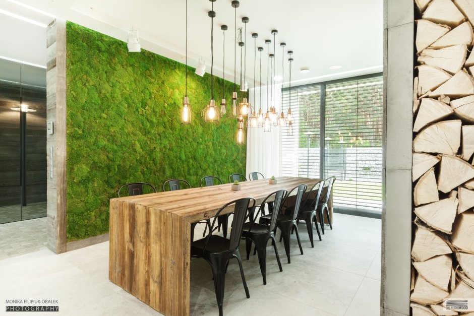 Green Sun фитостены