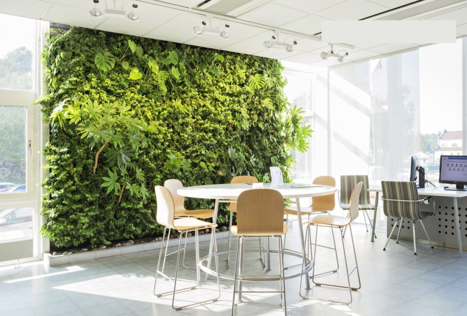 Green Sun фитостены