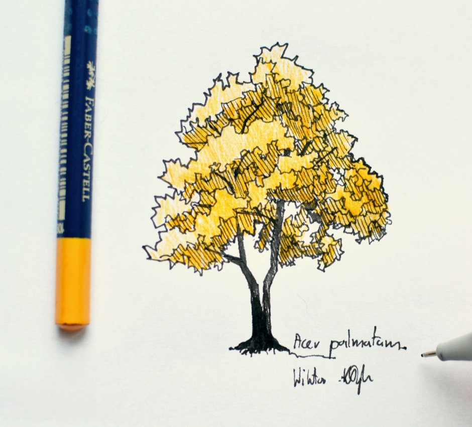 Осеннее дерево маркерами
