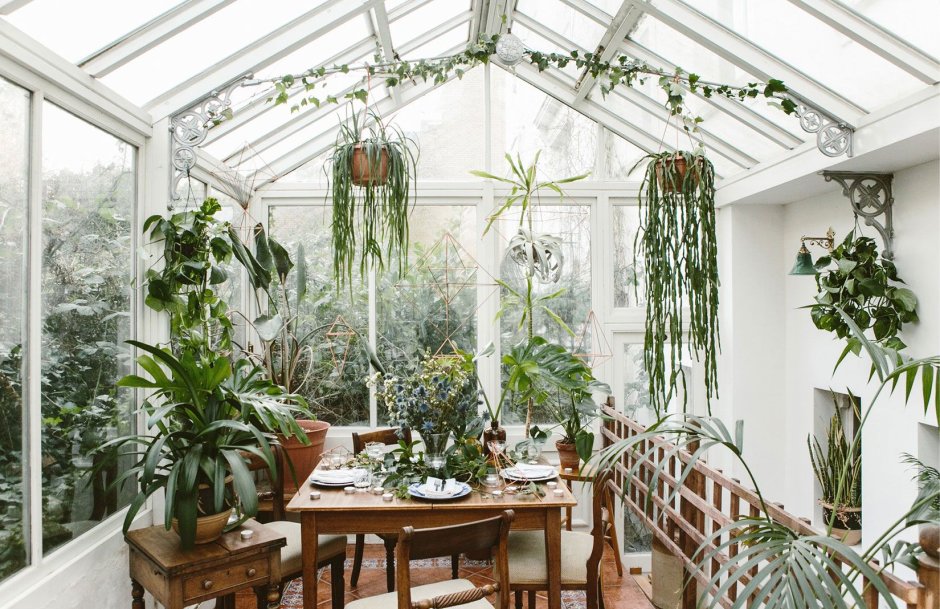 «Зимний сад» оранжерея Пэктон