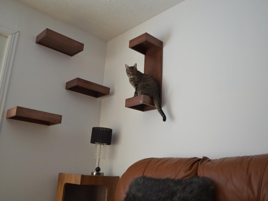 Угловая полка для кошки на стену