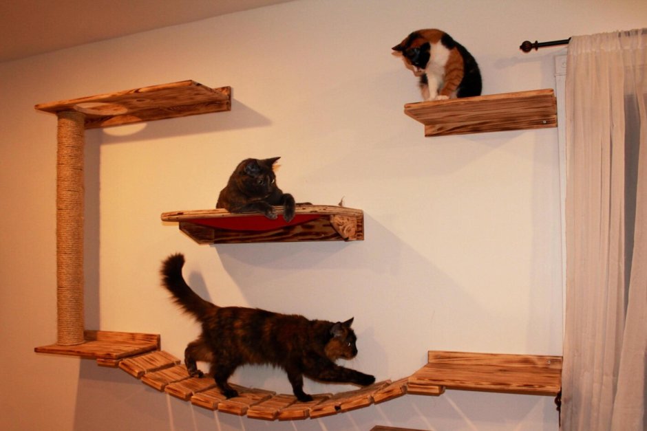 Полки для кошек на стену