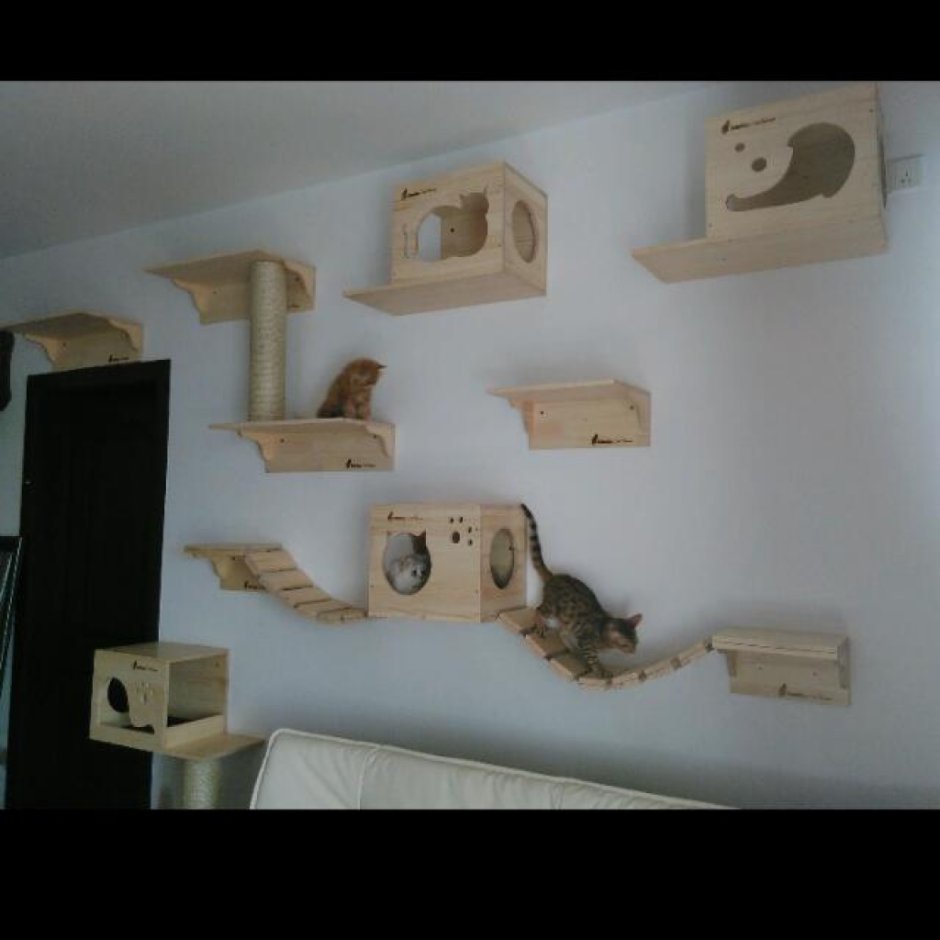 Система лазанья для кошек на стену