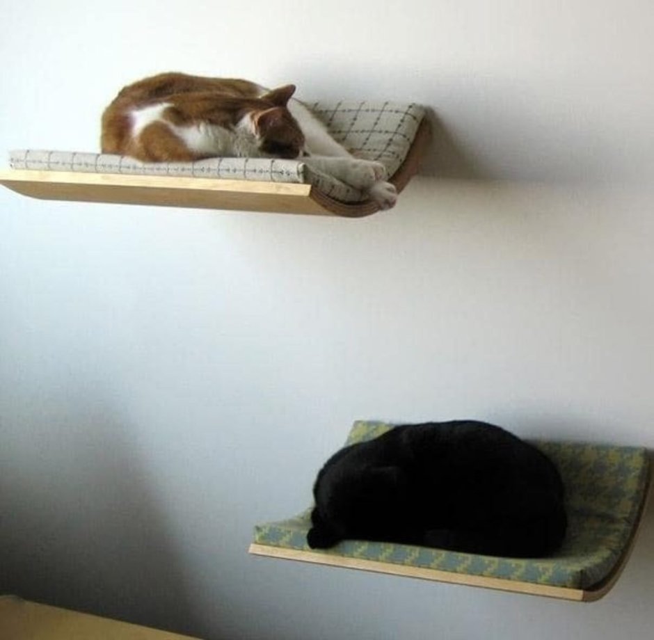 Настенные лежанки для кошек