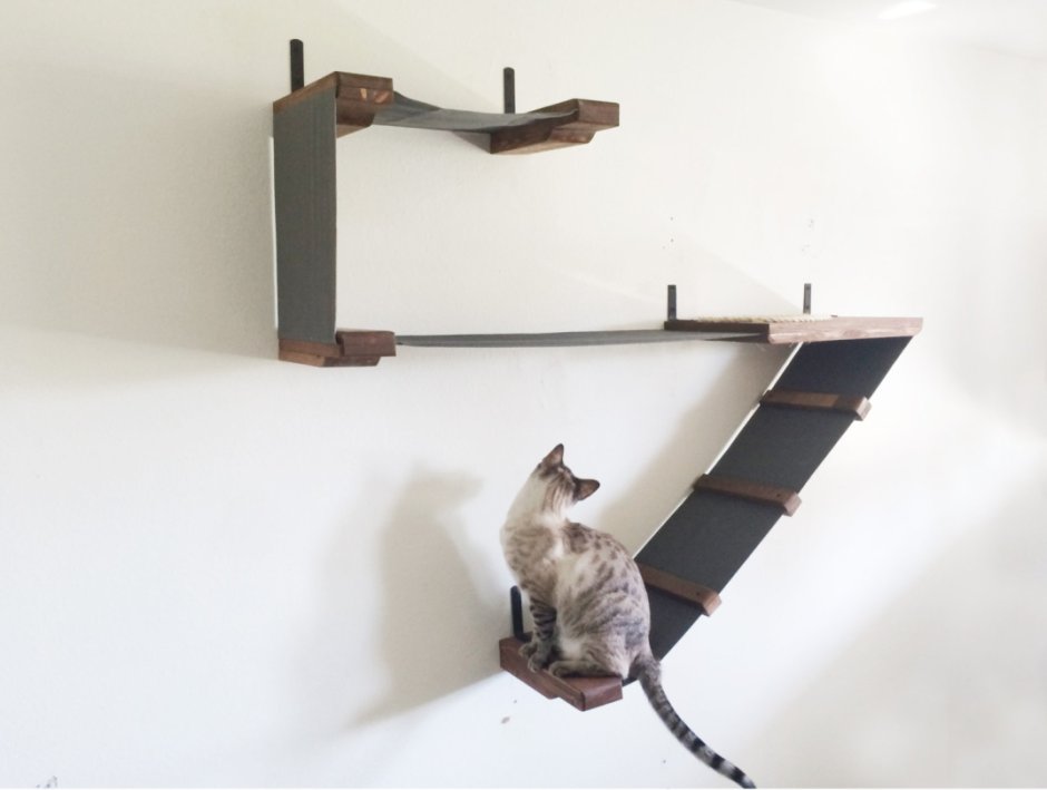 Полки гамаки на стену для кошки