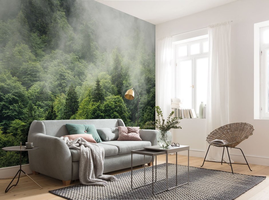 Спальня лес в тумане