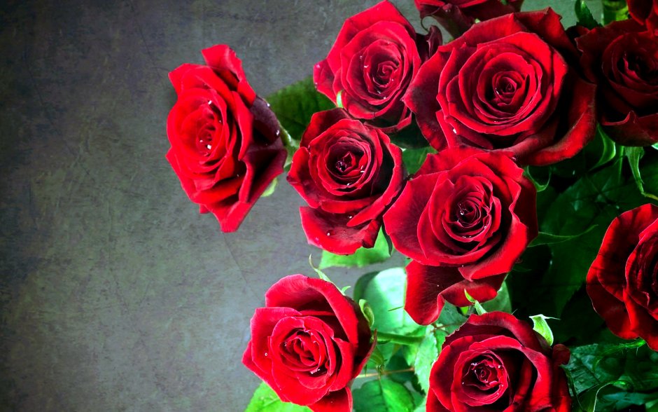 Картинки на рабочий стол розы красивые
