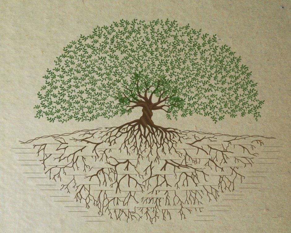 Генеалогическое дерево в интерьере
