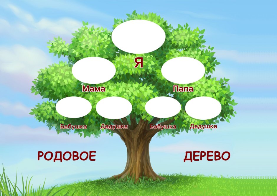 Родовое Древо корни рода