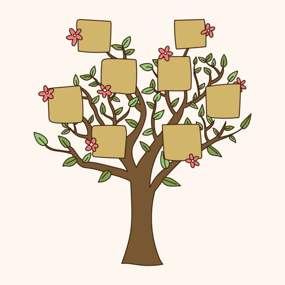 Генеалогическое дерево яблоня