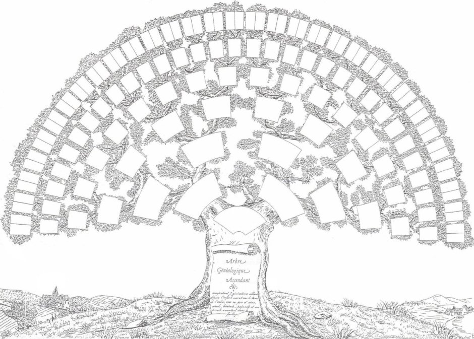 Генеалогическое дерево