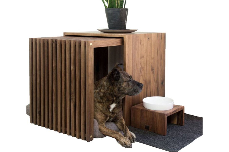 Дизайнерская мебель для собак