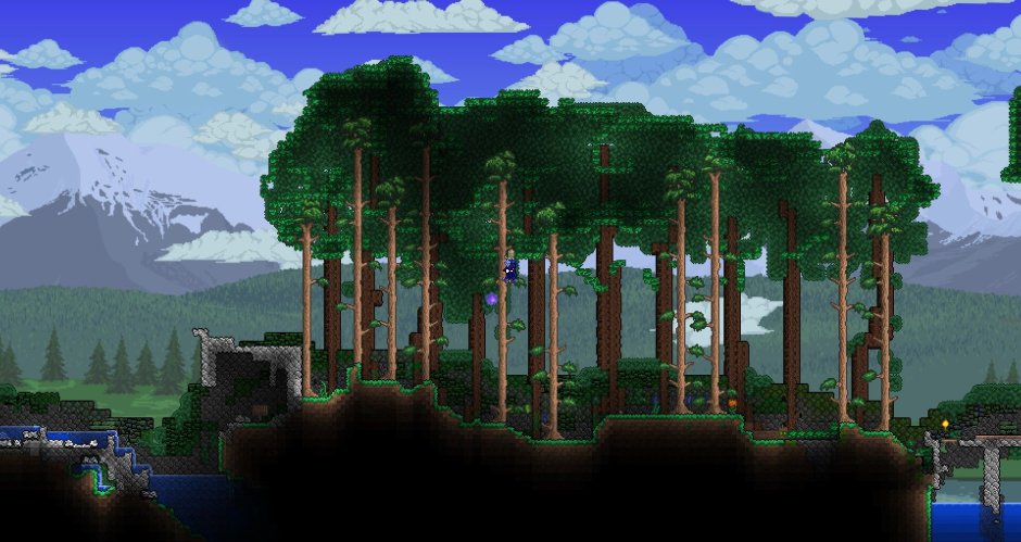 Terraria Forest House