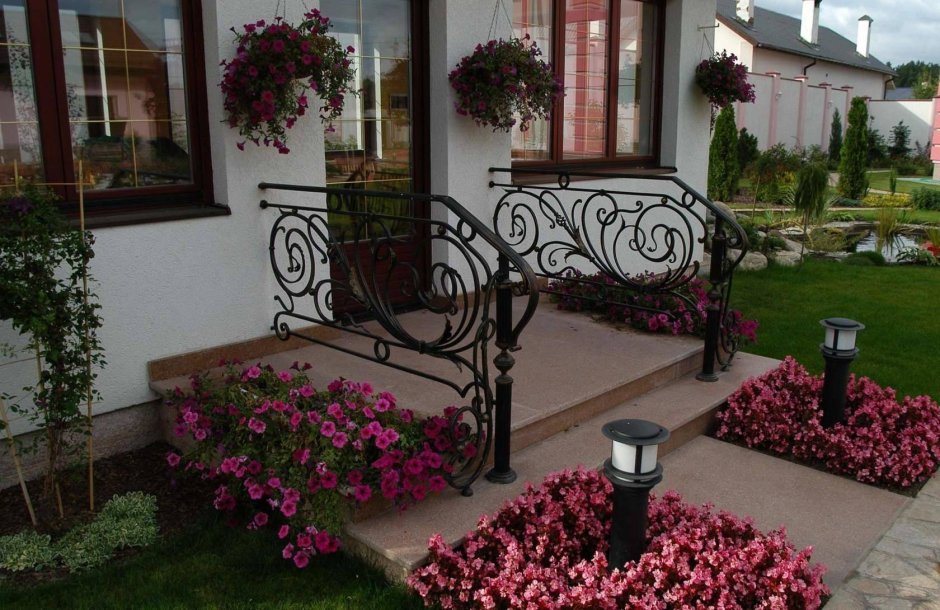 Гортензия метельчатая Westerland