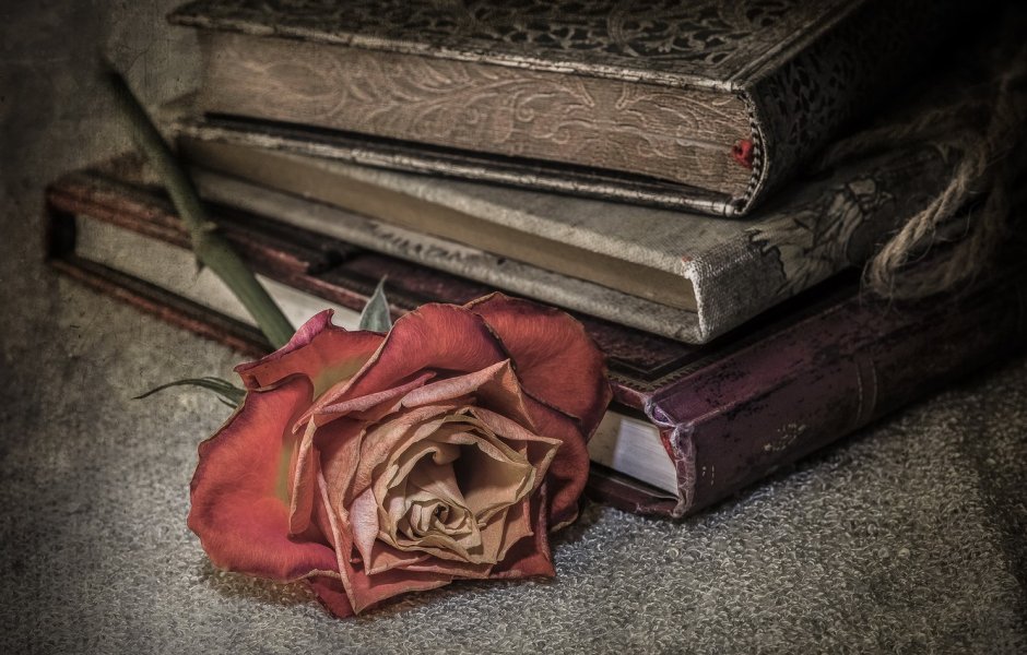 Книги Эстетика